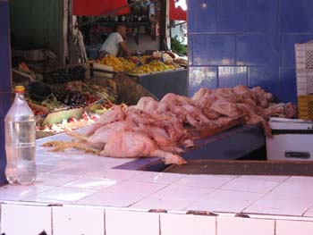 morocco marrakech 172